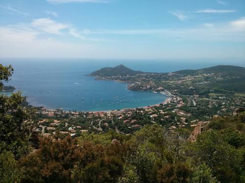 Azzurra Immo: Le Hameau Cap Est�rel