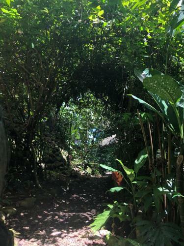 Cascada Verde - Hostel At The Waterfall