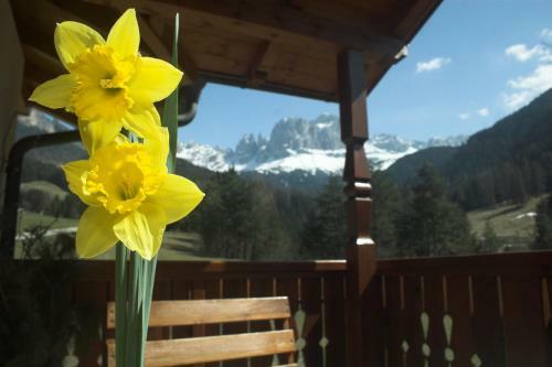 Apartments Dilln G�tl