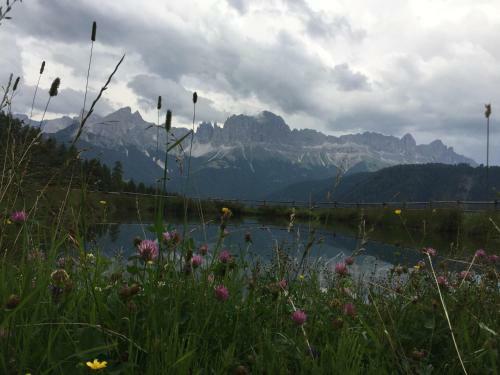 Apartments Dilln G�tl