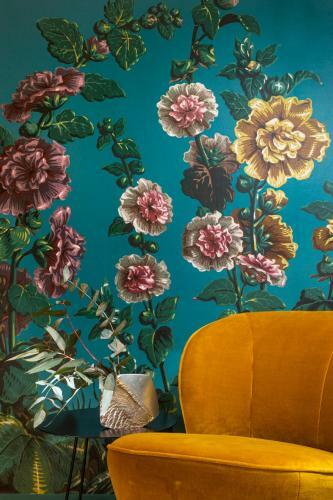 Bed & Breakfast Maison Dauphine