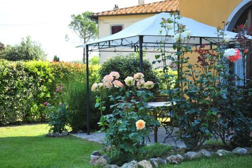 Agroturismo La Corte D'elsa