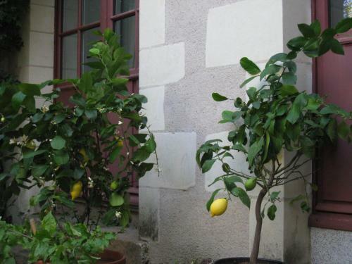 Bed & Breakfast Le Logis Des Tourelles