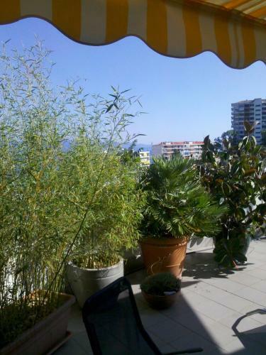 Bed & Breakfast Chambre D'h�te Les Jardins Du Forcone