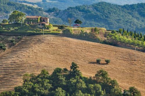 Agroturismo Abbazia San Faustino