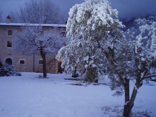 B&B Casal Cominium