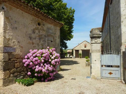 Bed & Breakfast Au Bonheur D'alphonse