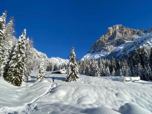 Hotel Chalet Pr� Delle Nasse