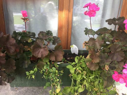 Hotel Chalet Pr� Delle Nasse