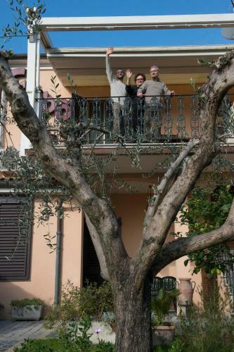 B&B Crib�