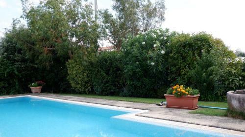 B&B La Torre In Pietra