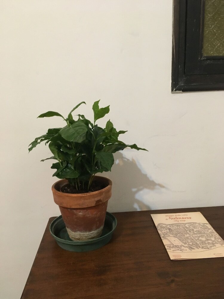 Apartamento B&B Del Teatro