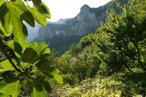 Bed & Breakfast Colle Dell'ara