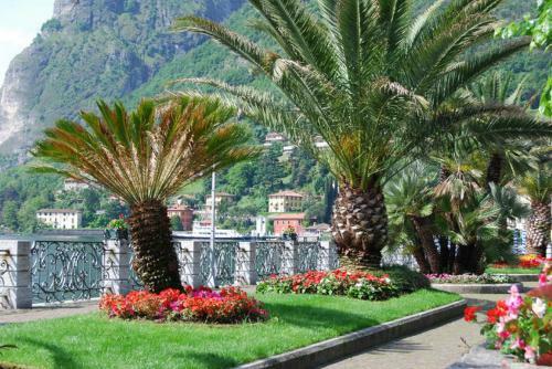 Apartamento Balcone Di Noa E Stella