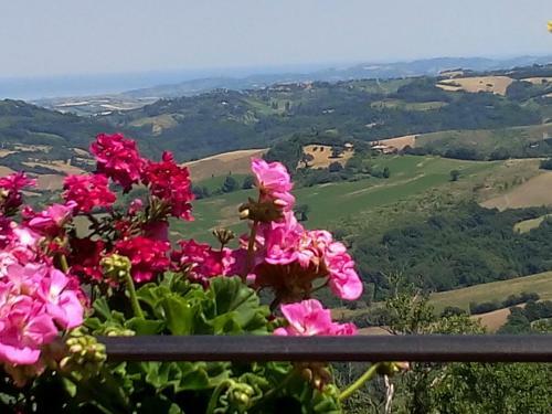 Agroturismo Il Poggetto