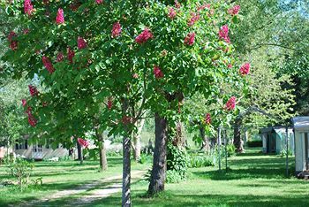 Camping Village Internazionale Lago Di Bracciano