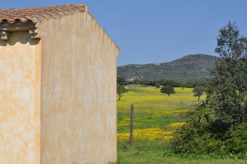 B&B Pubulos
