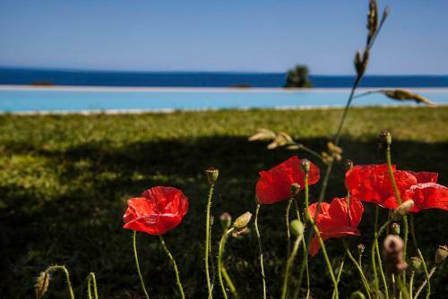 Agroturismo Tenuta Santatecla
