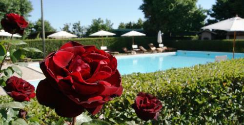 Apartamento Casa Vacanze Ribocchi
