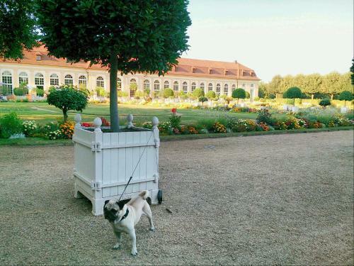 Hotel Der Platengarten