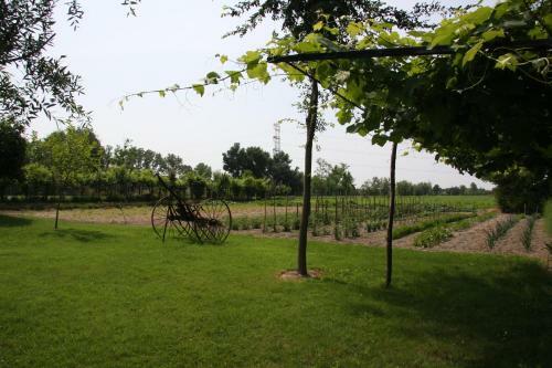 Agroturismo Agriturismo Ca' Marcello
