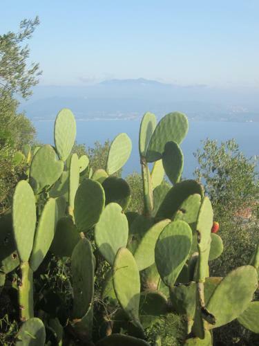 Apartamento Appartement Vue Mer