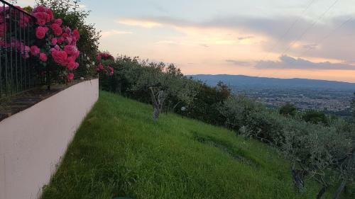 Villa Sassovivo
