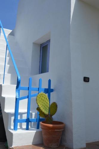 Casa Shezella