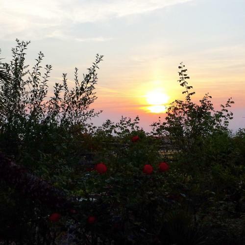 Bed & Breakfast Villa Cassuto Maison De Charme