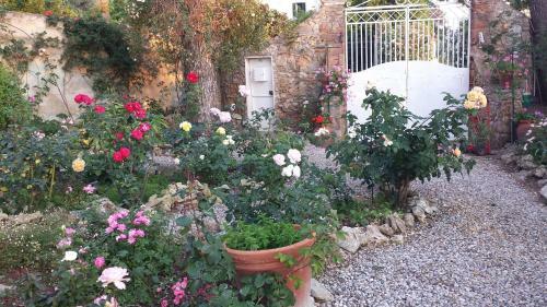 Bed & Breakfast Villa Cassuto Maison De Charme
