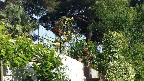 Bed & Breakfast Villa Cassuto Maison De Charme