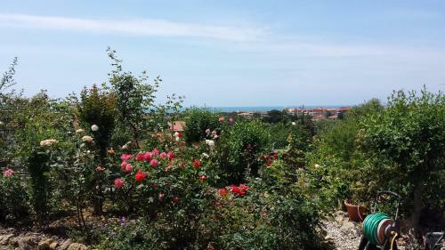 Bed & Breakfast Villa Cassuto Maison De Charme