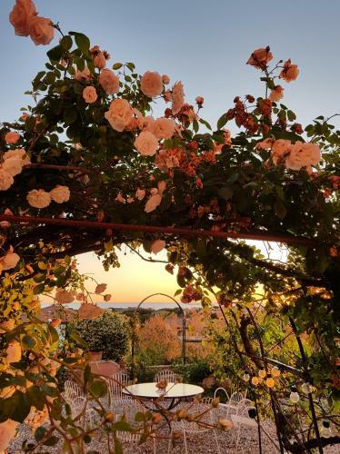 Bed & Breakfast Villa Cassuto Maison De Charme