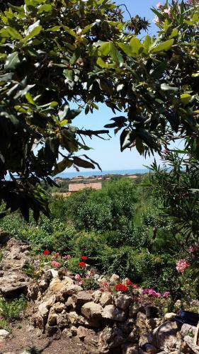Bed & Breakfast Villa Cassuto Maison De Charme