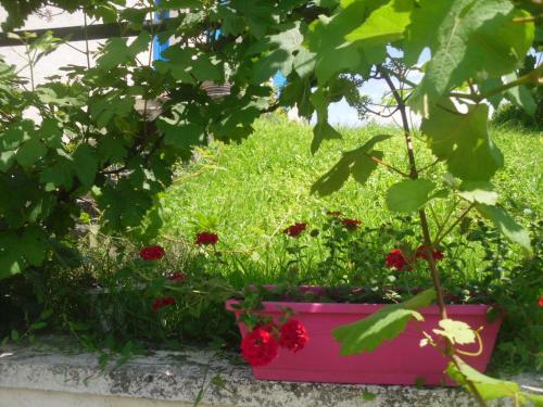 Bed & Breakfast Ma Cambuse Pr�s Giverny