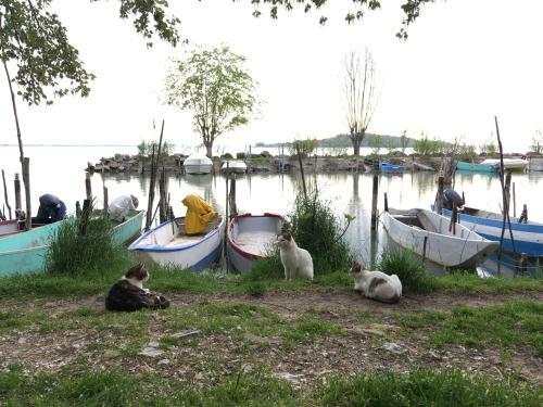 Agroturismo Le Terre Di Isa