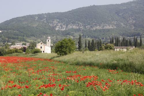 Agroturismo Agriturismo Corte Dei Fiori