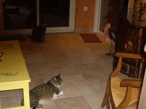 Bed & Breakfast Chambre D'h�tes La Chateli�re