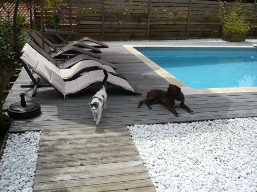 Bed & Breakfast Chambres D'h�tes Irrintzina