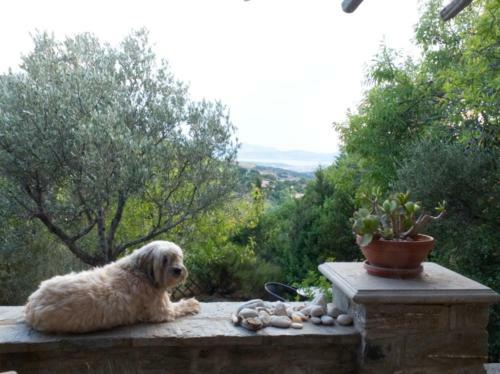 Agroturismo To The Garden