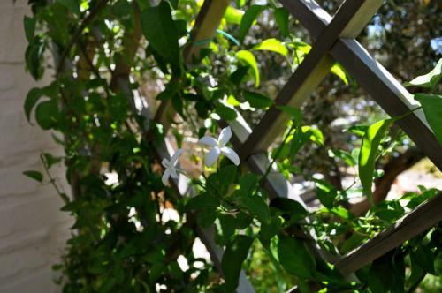 Agroturismo To The Garden