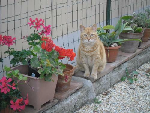 Apartamento Appartamenti Claudia