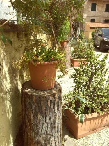 Apartamento Appartamenti Claudia