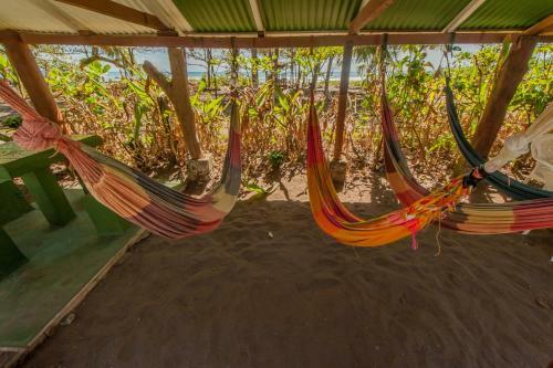 Hotel Cabinas Balcon Del Mar Tortuguero