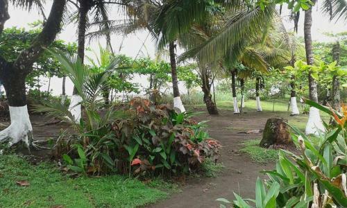 Hotel Cabinas Balcon Del Mar Tortuguero