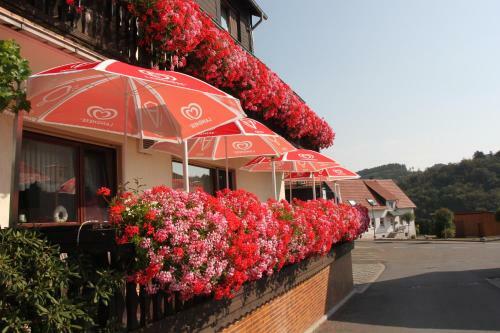 Hostal Landgasthof Hotel Sauer