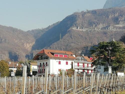 Hotel Pension Flora Albergo