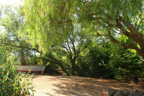 Bed & Breakfast Casa Terranova