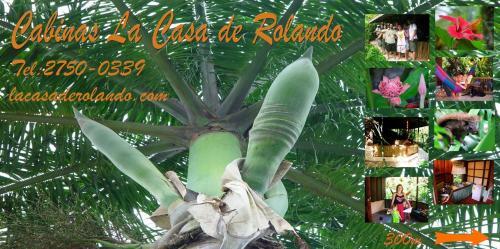 Lodge Casita Rolando