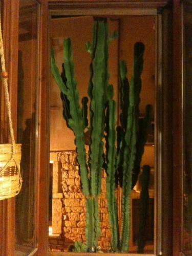 B&B Gildo Trani